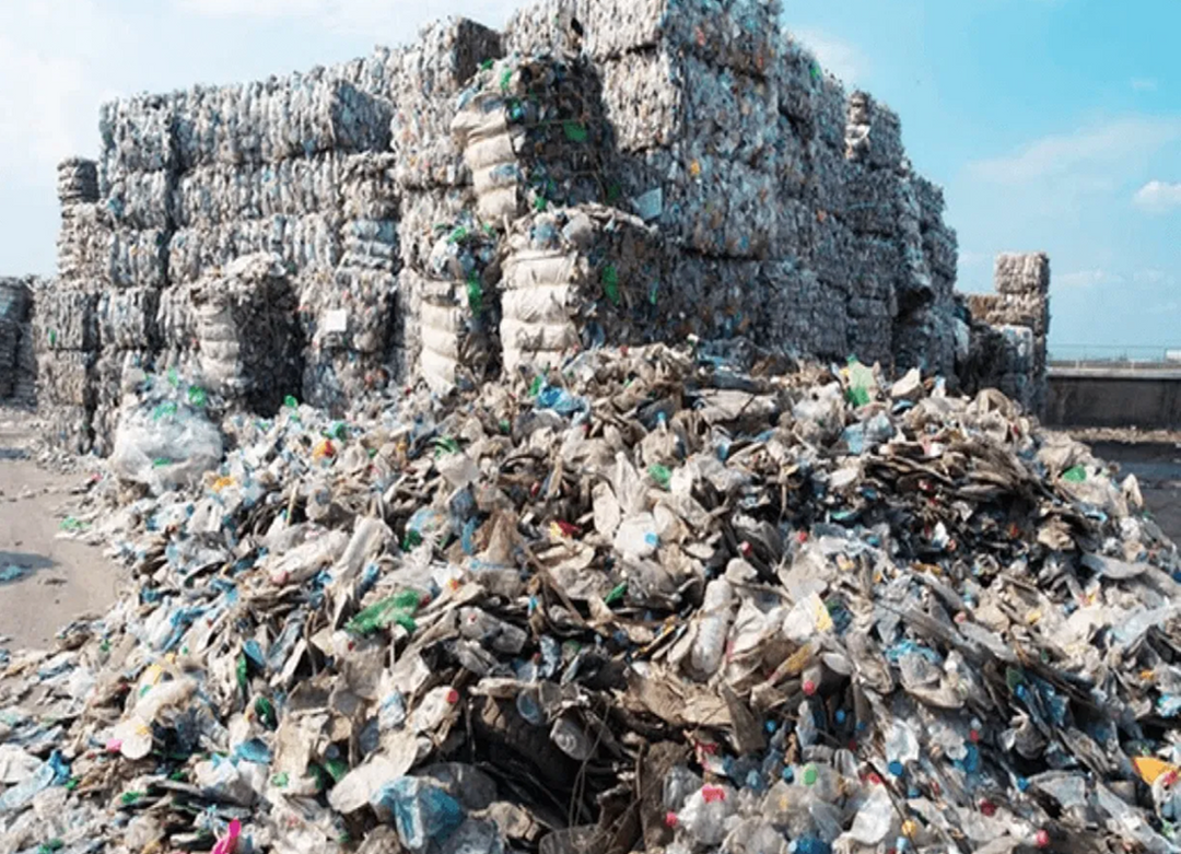 Arrêter la pollution plastique — Feuilles de Lave-Vaisselle Écologiques™ par Central Québec
