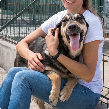 Woman with a shelter dog